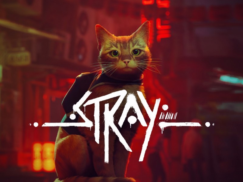 Stray